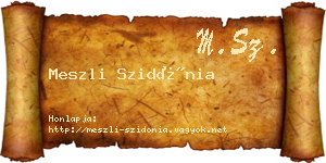 Meszli Szidónia névjegykártya